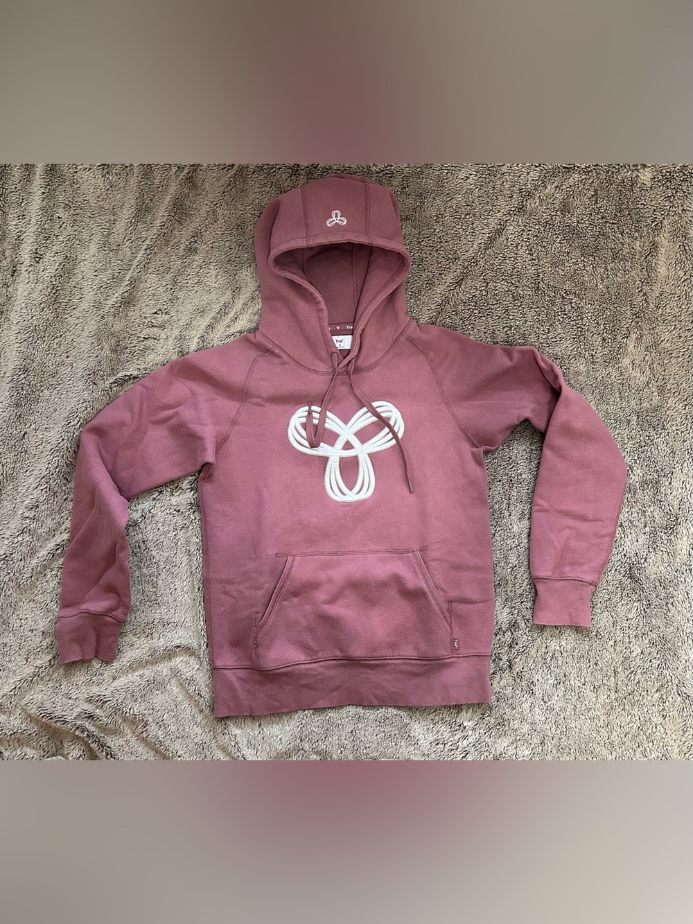 Aritzia TNA vintage hoodie